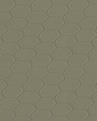 Greenhouse F5056 by  Greenhouse Fabrics 