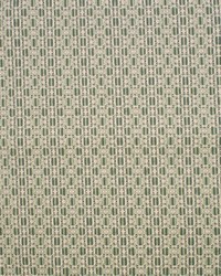 Greenhouse F5242 by  Greenhouse Fabrics 