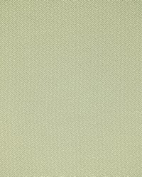 Greenhouse F5456 by  Greenhouse Fabrics 