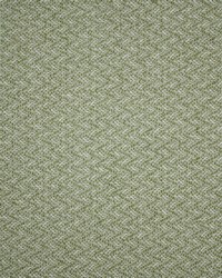 Greenhouse F5457 by  Greenhouse Fabrics 