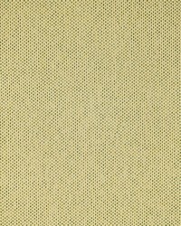 Greenhouse F5464 by  Greenhouse Fabrics 