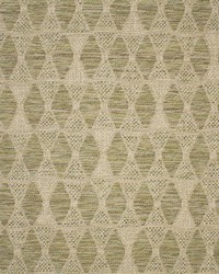 Greenhouse F5646 by  Greenhouse Fabrics 