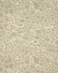 Greenhouse F5749 by  Greenhouse Fabrics 