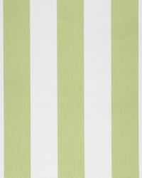 Greenhouse S1264 by  Greenhouse Fabrics 