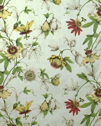 Greenhouse S2694 by  Greenhouse Fabrics 