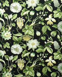 Greenhouse S2714 by  Greenhouse Fabrics 