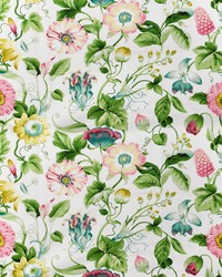 Greenhouse S2721 by  Greenhouse Fabrics 