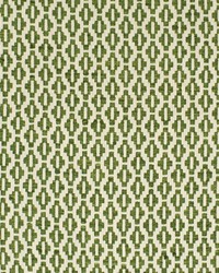 Greenhouse S2855 by  Greenhouse Fabrics 