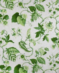 Greenhouse S3187 by  Greenhouse Fabrics 