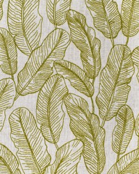 Greenhouse S3956 by  Greenhouse Fabrics 