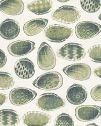 Greenhouse S4161 by  Greenhouse Fabrics 