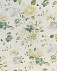 Greenhouse S4164 by  Greenhouse Fabrics 