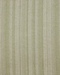 Greenhouse S4224 by  Greenhouse Fabrics 