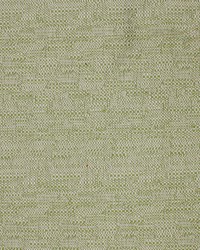 Greenhouse S4225 by  Greenhouse Fabrics 