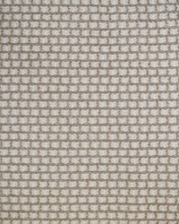 Greenhouse S4447 by  Greenhouse Fabrics 