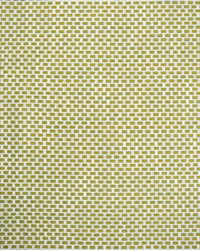 Greenhouse S4548 by  Greenhouse Fabrics 