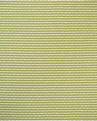 Greenhouse S4550 by  Greenhouse Fabrics 