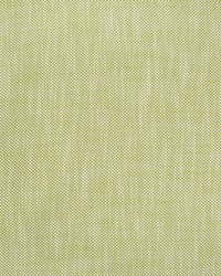 Greenhouse S4551 by  Greenhouse Fabrics 