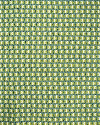 Greenhouse S4555 by  Greenhouse Fabrics 