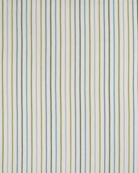 Greenhouse S4556 by  Greenhouse Fabrics 