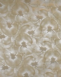 Greenhouse S4644 by  Greenhouse Fabrics 