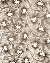 Greenhouse S4660 by  Greenhouse Fabrics 