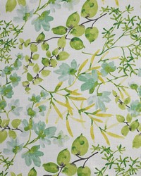 Greenhouse S4858 by  Greenhouse Fabrics 