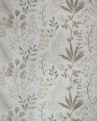 Greenhouse S4969 by  Greenhouse Fabrics 