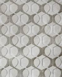 Greenhouse S5019 by  Greenhouse Fabrics 