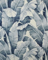 Greenhouse S5064 by  Greenhouse Fabrics 