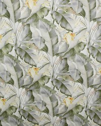 Greenhouse S5089 by  Greenhouse Fabrics 