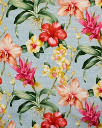 Greenhouse S5091 by  Greenhouse Fabrics 