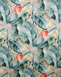 Greenhouse S5124 by  Greenhouse Fabrics 