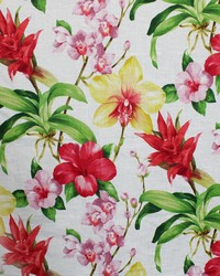 Greenhouse S5126 by  Greenhouse Fabrics 