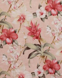 Greenhouse S5134 by  Greenhouse Fabrics 