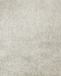 Greenhouse S5149 by  Greenhouse Fabrics 