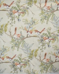 Greenhouse S5174 by  Greenhouse Fabrics 