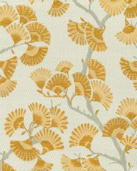 Greenhouse S5262 by  Greenhouse Fabrics 