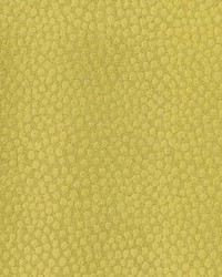 Greenhouse S5292 by  Greenhouse Fabrics 