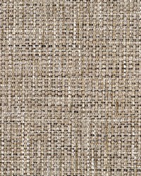 Greenhouse S5305 by  Greenhouse Fabrics 