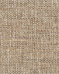 Greenhouse S5372 by  Greenhouse Fabrics 