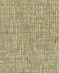 Greenhouse S5398 by  Greenhouse Fabrics 